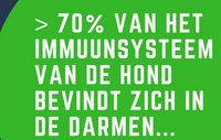 70-van-het-immuunsysteem-zit-in-de-darmen-van-de-hond